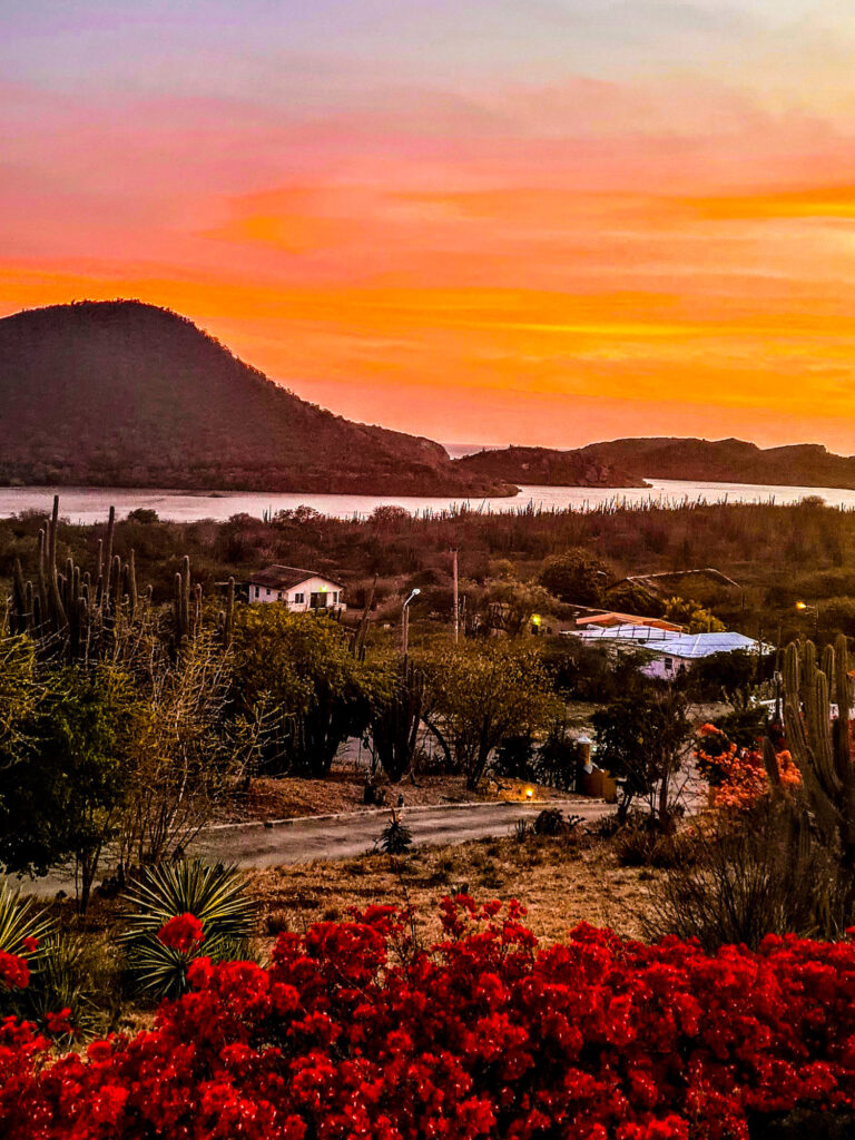 Op vakantie naar Curaçao