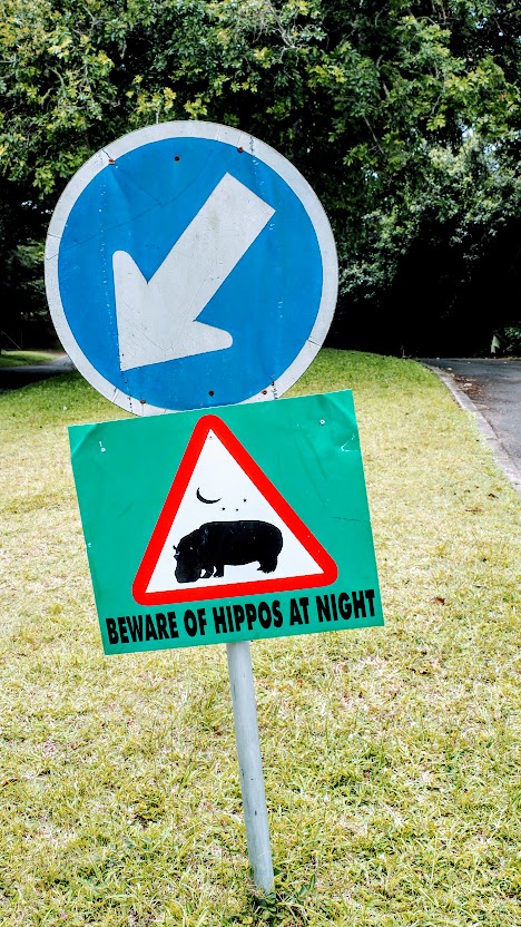 Nijlpaarden spotten inSt Lucia Zui-Afrika