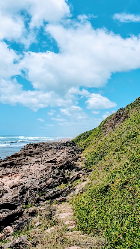Nijlpaarden spotten inSt Lucia Zui-Afrika