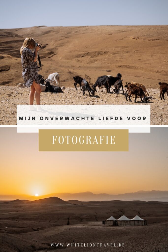 Mijn onverwachte liefde voor fotografie