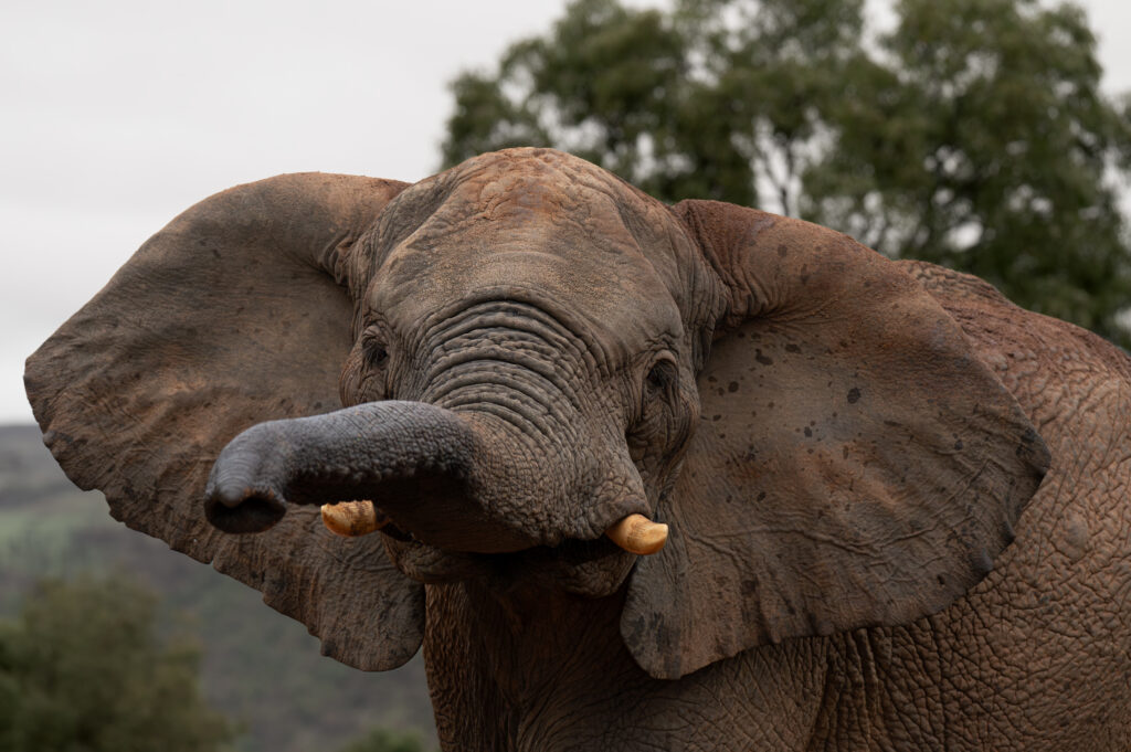 Zuid-Afrika 2025 - fotografie retreat