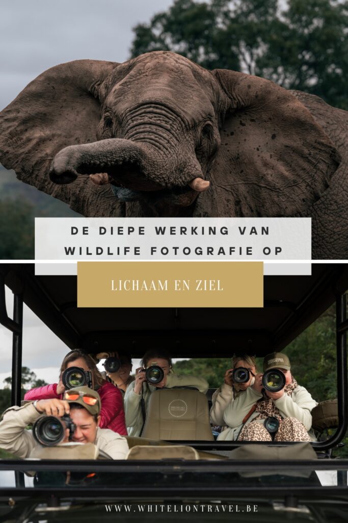 De diepe werking van wildlife fotografie op lichaam en ziel