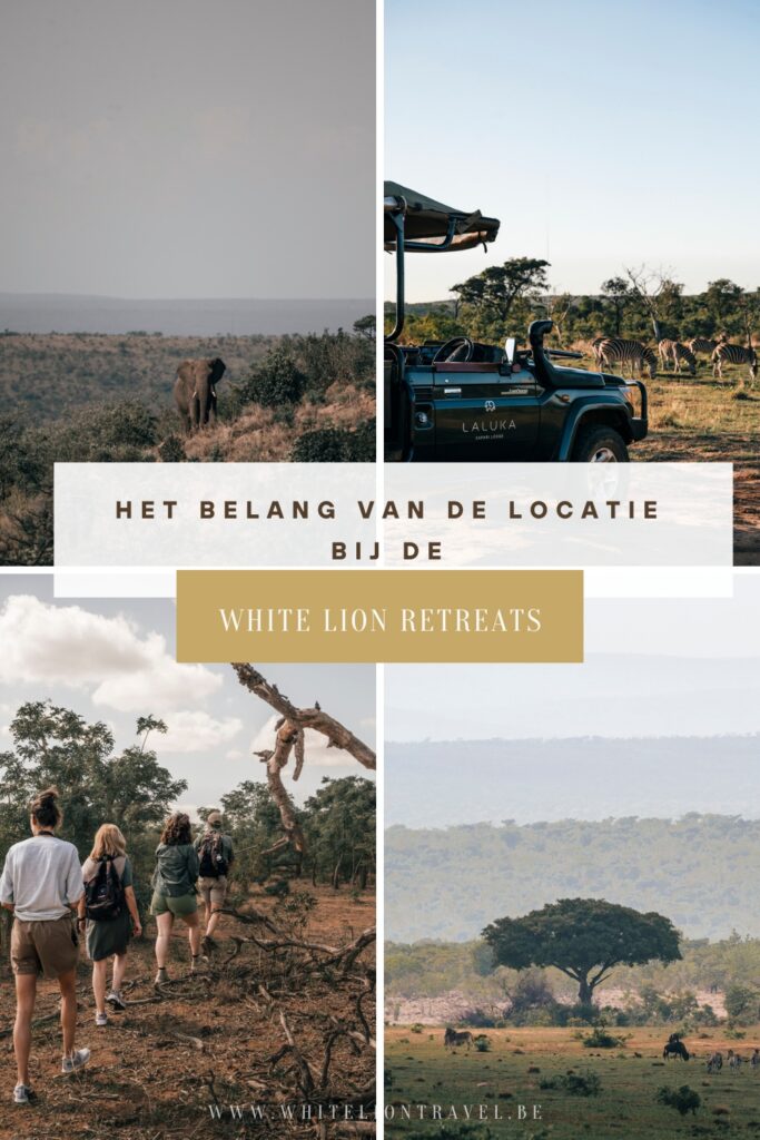 Het belang van de locatie bij de White Lion retreats